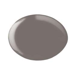 ESMALTE GEL PERMANENTE ANDREIA Nº279